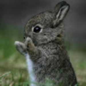 Meet your Posher, Mariangela